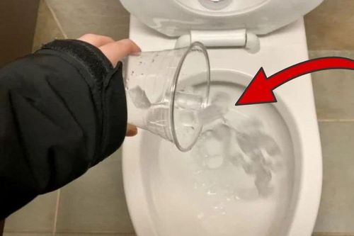 Đổ đá lạnh vào bồn cầu: Mẹo hay mang lại lợi ích bất ngờ ít người biết