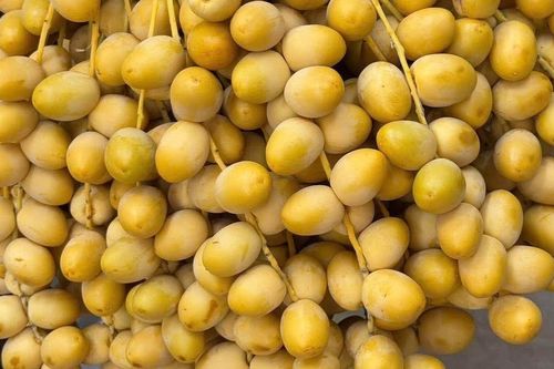 Loại quả từng là đặc sản cao cấp, giá rẻ, bán đầy ngoài chợ vì vị ngọt thơm và giàu dinh dưỡng, nhưng vẫn có nhóm người được khuyến cáo không nên ăn