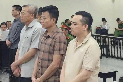 Cựu Chủ tịch Công ty Nam Triệu bị tuyên mức án 29 năm tù