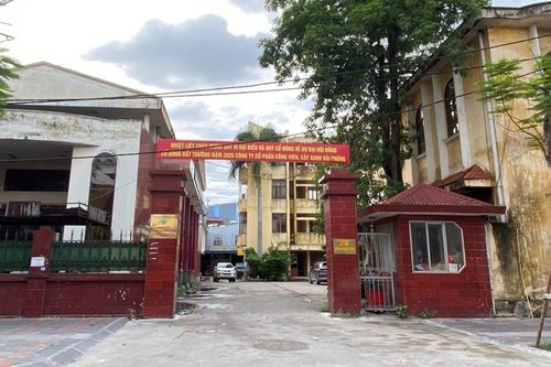 Công ty công viên, cây xanh Hải Phòng kiện toàn lãnh đạo sau khi bị xử phạt thuế