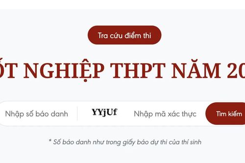 Tra cứu điểm thi Tốt nghiệp Trung học phổ thông trên Báo Điện tử VietnamPlus