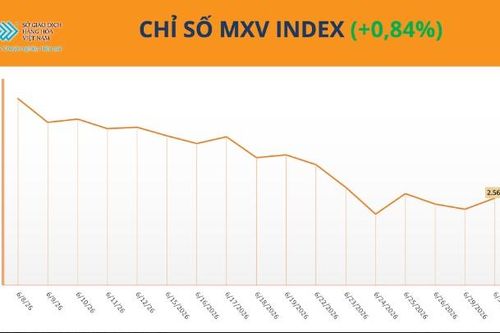 Lực mua chiếm ưu thế, MXV-Index tăng nhẹ lên 2.568 điểm phiên cuối tháng 6