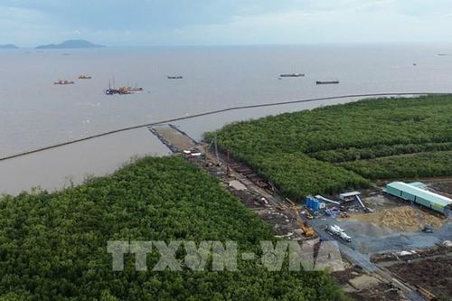 Tăng cường hợp tác với đối tác Hà Lan trong phát triển xanh và kinh tế biển