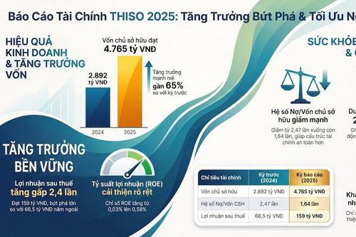 Thấy gì từ bức tranh tài chính của THISO?