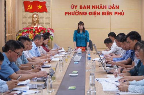 Thường trực HĐND tỉnh giám sát chuyên đề tại phường Điện Biên Phủ