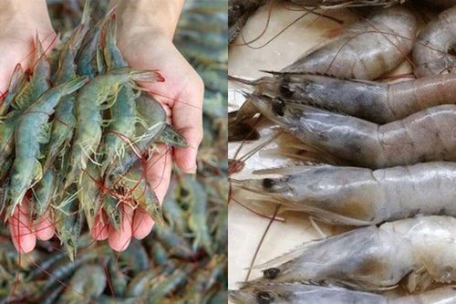 Đi chợ chỉ cần nhìn vào chỗ này là biết ngay tôm tươi hay để lâu, nhiều người mua thường xuyên vẫn chưa biết