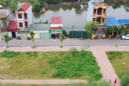 [Video] Điều chỉnh giảm hơn 1,1 triệu hecta đất nông nghiệp