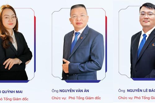 Đồng loạt miễn nhiệm, bổ nhiệm lãnh đạo chủ chốt doanh nghiệp 'nhà' Đèo Cả