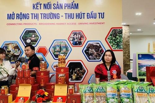 Nâng 'chất' cho sản phẩm OCOP