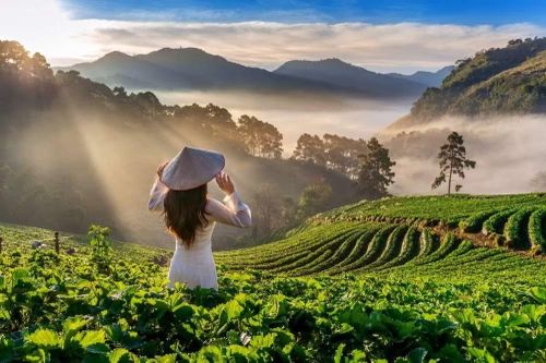 AI, AR, VR - Câu chuyện bán cảm xúc, ký ức và những giá trị cá nhân hóa