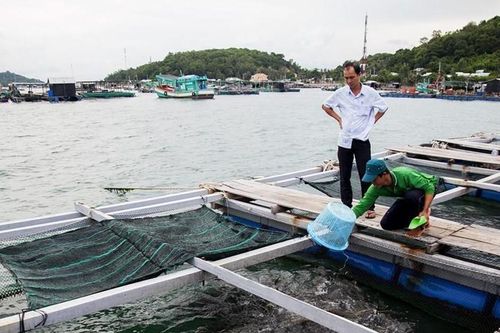 Chương trình tín dụng nông, lâm, thủy sản giải ngân đạt 219.000 tỷ đồng