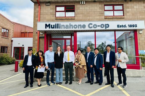 Từ phô mai đến sàn đấu giá gia súc, bài học từ hợp tác xã Ireland