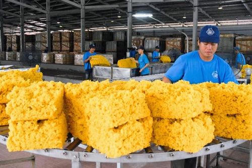 Cơ hội để ngành cao su Việt bứt phá