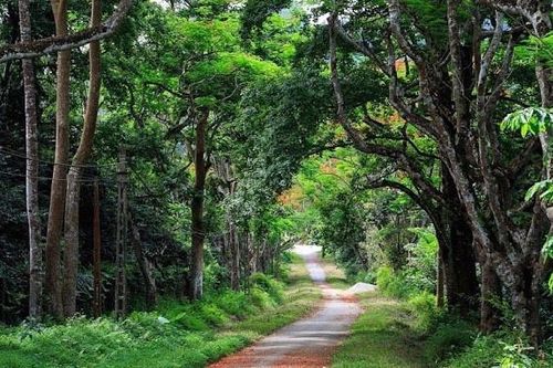Bộ Nông nghiệp và Môi trường đề xuất tiếp tục quản lý 4 vườn quốc gia liên tỉnh