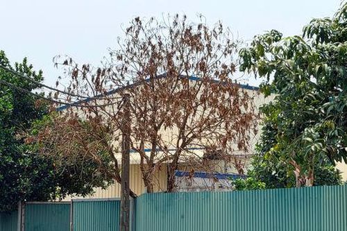 Xã Phúc Thịnh xử lý nghiêm vi phạm đất đai, môi trường