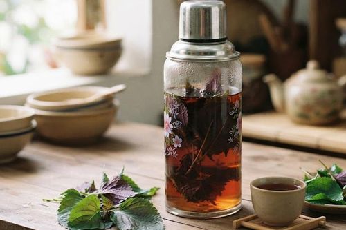 3 thời điểm uống nước lá tía tô an toàn và hiệu quả
