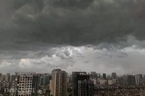 Khẩn trương rà soát đê điều ứng phó bão số 1