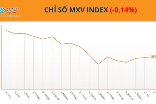 Thị trường hàng hóa nguyên liệu phân hóa, bạc tiếp tục hút dòng tiền