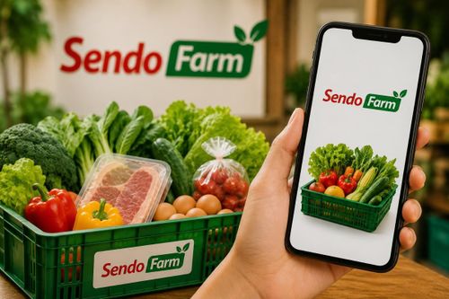 Lần thứ hai Sen Đỏ 'rút chân' khỏi thương mại điện tử