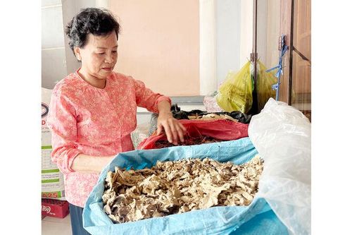 Giải bài toán già hóa dân số ở nông thôn