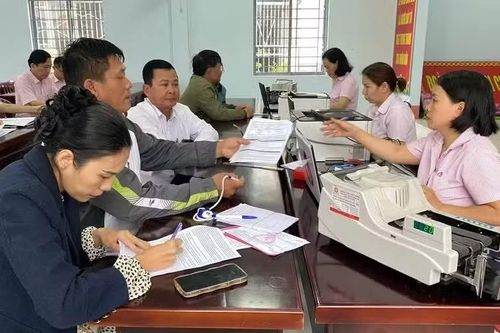 Gia Lai phấn đấu hình thành hệ sinh thái tài chính toàn diện, hiện đại, an toàn và bao trùm