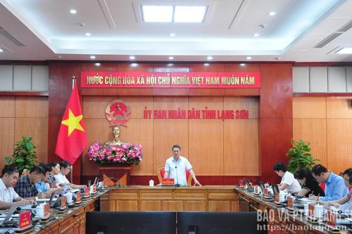 Lãnh đạo UBND tỉnh chủ trì 2 cuộc họp BCĐ về chuyển đổi đơn vị sự nghiệp thành công ty cổ phần và đổi mới, phát triển doanh nghiệp