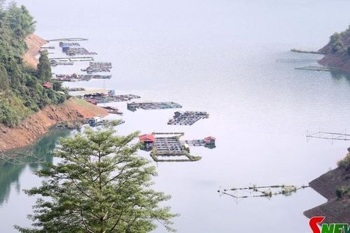 Nỗ lực tìm đầu ra ổn định cho thủy sản