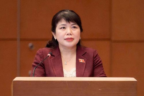 Phó trưởng Đoàn chuyên trách Đoàn ĐBQH tỉnh Quảng Ninh Nguyễn Thị Thu Hà: Đổi mới mạnh mẽ phương thức tổ chức, đánh giá hiệu quả giám sát dựa trên mức độ tác động đến thực tiễn