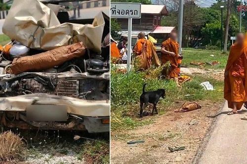 Cậu bé 11 tuổi đâm xe vào đoàn hành hương, gần 30 người thương vong