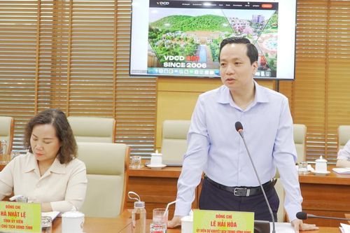 Chủ tịch UBND tỉnh Lê Hải Hòa làm việc với VDCD Group về định hướng thành lập Trung tâm Đổi mới sáng tạo tỉnh
