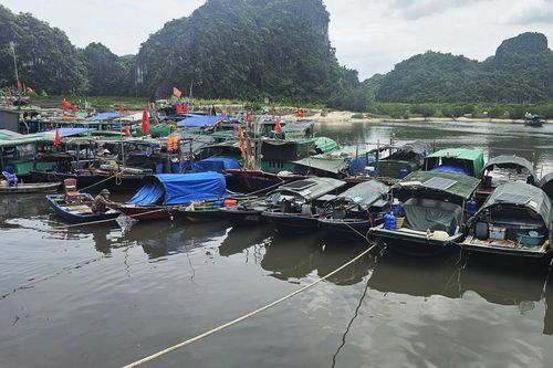 Ứng phó bão số 1, Hải Phòng và Quảng Ninh cấm biển, kiểm đếm tàu thuyền