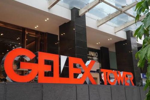 Ủy ban Chứng khoán xử phạt Tập đoàn Gelex