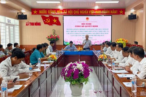Đưa Đề án 1 triệu hecta lúa từ chủ trương đến từng cánh đồng