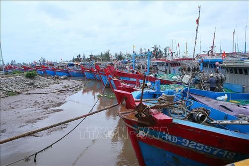 Ứng phó bão số 1: Không để bị động trước mọi tình huống