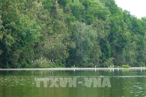 Cộng đồng mở rộng 'vành đai xanh' bảo tồn đa dạng sinh học
