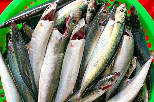 Loại cá được người miền Trung coi là 'lộc biển', khách du lịch ăn một lần rồi tìm mua mang về