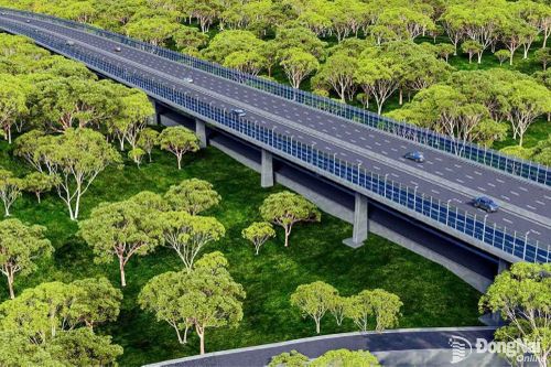Tuyến đường đi xuyên rừng nguyên sinh đặc biệt