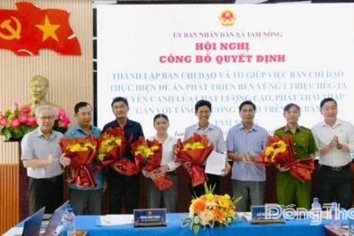 Xã Tam Nông: Thành lập Ban Chỉ đạo thực hiện Đề án 1 triệu héc-ta lúa chất lượng cao