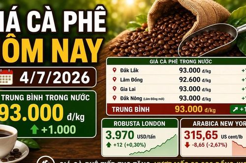 Giá cà phê hôm nay 4/7: Arabica giảm, trong nước vẫn tiếp tục tăng
