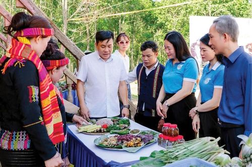 Gieo mầm xanh nơi bản Phúc Lộc