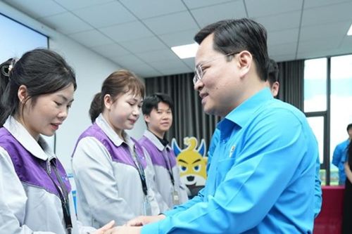 Tăng cường chăm lo, hỗ trợ người lao động đồng bào dân tộc thiểu số và miền núi