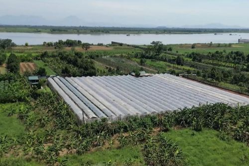 Tạo hành lang pháp lý khai thác hiệu quả quỹ đất bãi sông