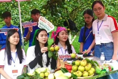 Phải công khai quy chế livestream bán hàng trên nền tảng thương mại điện tử