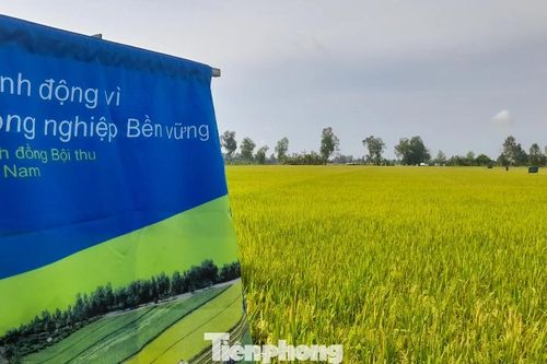 Thanh niên chung tay xây dựng hệ sinh thái nông nghiệp xanh từ cộng đồng