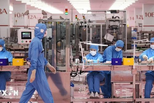 Doanh nghiệp Nhật Bản hướng tới năm lợi nhuận kỷ lục thứ 6 liên tiếp