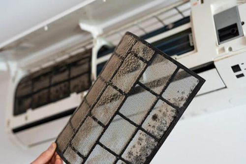 Vì sao mùa hè lại biến chiếc điều hòa trở thành 'ổ' của mầm bệnh?