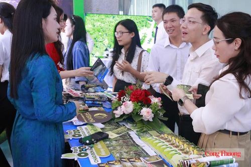 Sức hút không gian trưng bày sản phẩm OCOP tỉnh Quảng Trị