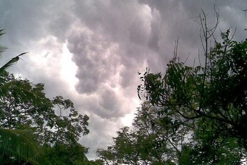 Cơn mưa đằng đông