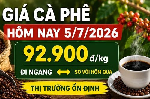 Giá cà phê hôm nay 5/7: Giữ nguyên sau nhiều phiên biến động