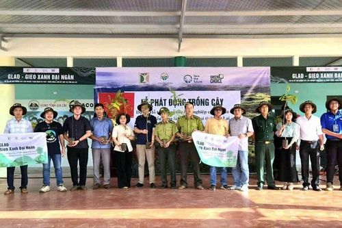 Phục hồi cảnh quan xanh, tăng sức chống chịu trước biến đổi khí hậu